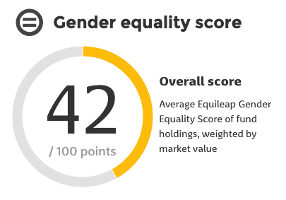 Gender Equality Funds score example